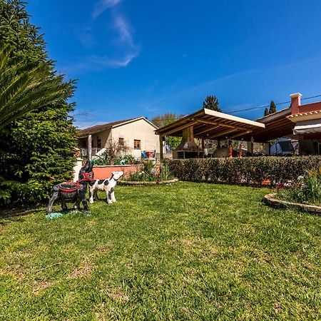 Antonela Sunshine Apartment By Corfu Escapes Pérama Kültér fotó